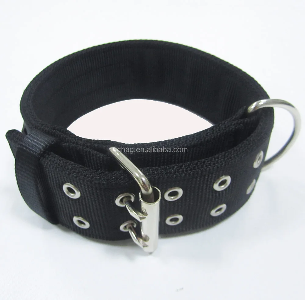 nylon webbing dog collars