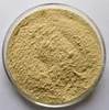 Natural Ajuga Turkestanica extract, Turkesterones 10% HPLC