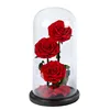 Preserved Fresh Flower Dried Flower Innovative Unique Multi-Color Red Rose Glass Cover Deco For Birthday Valentine's Day