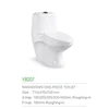 YYU new design ceramic washdown s- trap dual flush sanitary ware one piece toilet on sale for UK Y8007