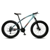 20 inch fat tire mountain cycle