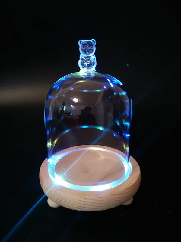 glass bell jar dome5
