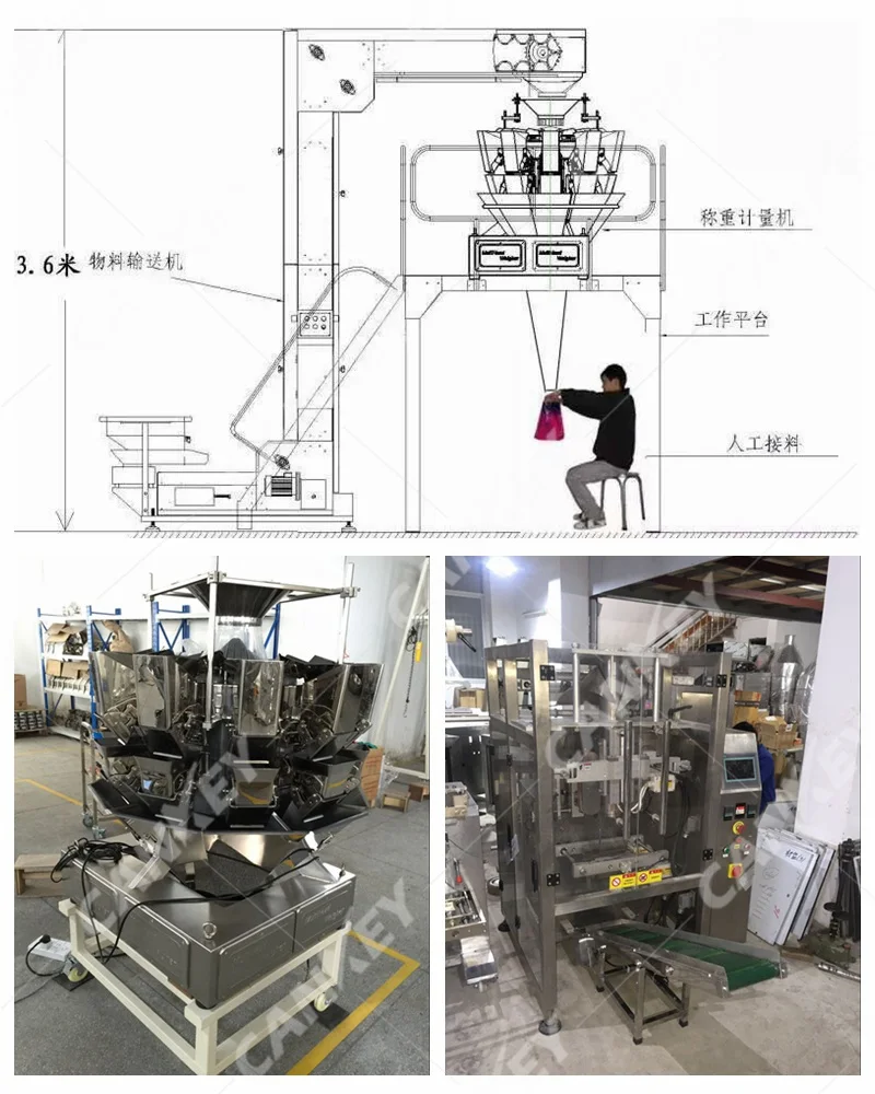 Details of auto namkeen packing machine
