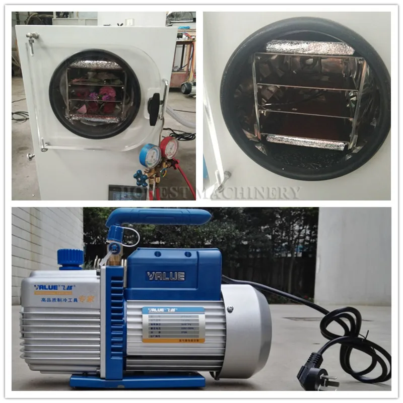 Freezedrying / Flowers And Harga Freeze Dryer / Freeze Drying Fruit