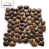 Hot Sale Cheap Decorative Pebble Mosaic Irregular River Rock Tumbled Mix Color Marble Pebble Mosaic
