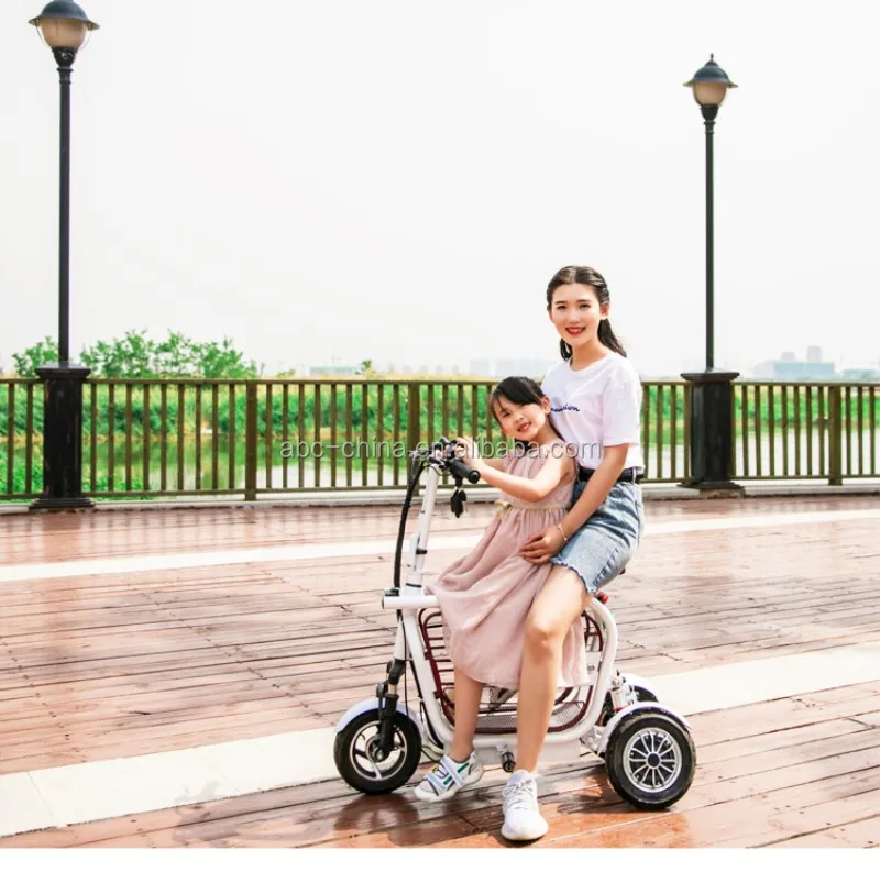 Hot Sale Adult 3 Wheel Foldable Electric Mobility Scooter Bike With Pet