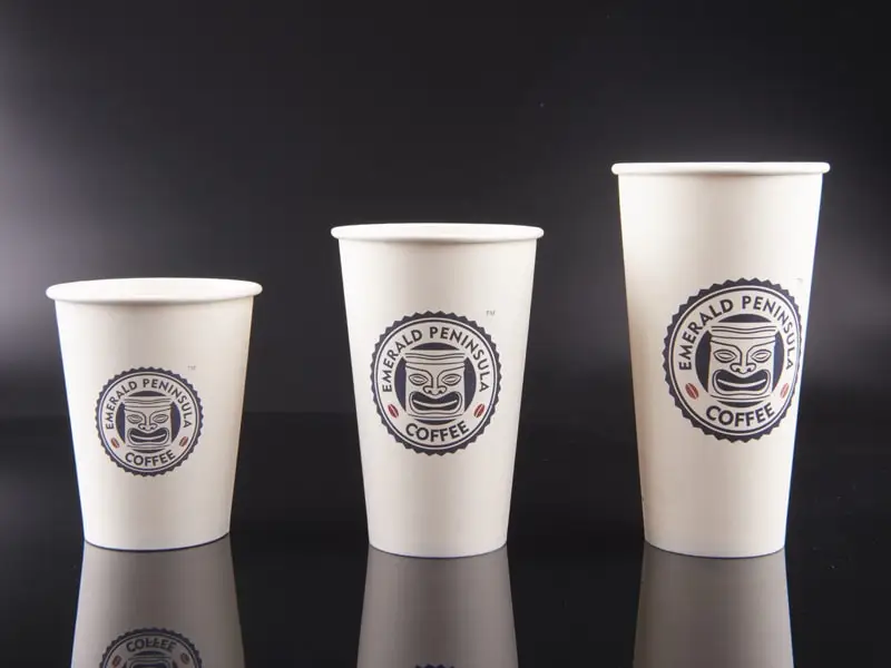 Disposable Paper Cup And Lids 4oz 6oz 8oz 10oz 12oz 16oz 20oz - Buy