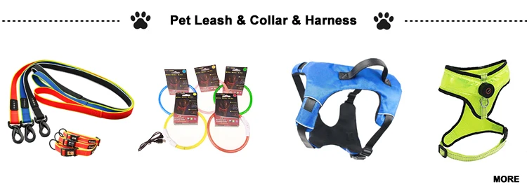 Pet Leash Collar.jpg