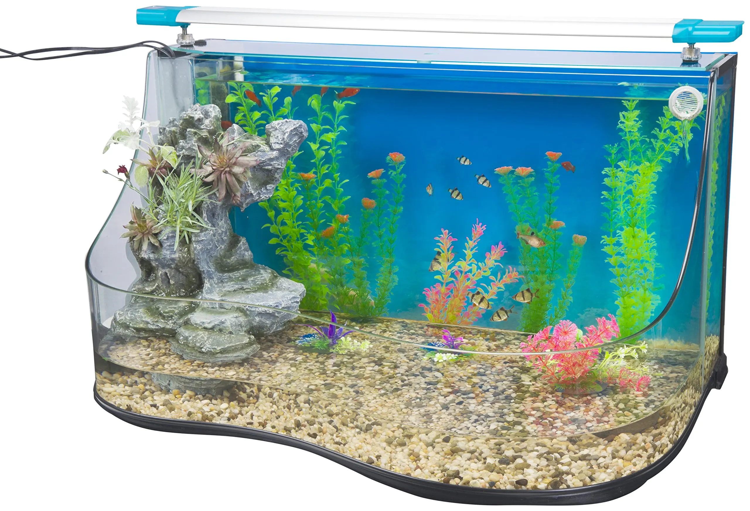 Модель аквариума