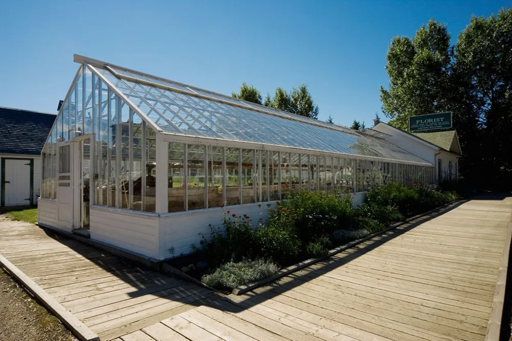 used commercial greenhouses for sale        
        <figure class=