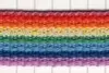 Polyester Webbing