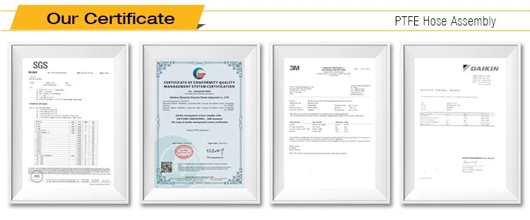 cuatomized Ptfe Hose Assembly.jpg