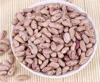 light speckled kidney bean/red kidney bean/black kidney bean factory direct supply
