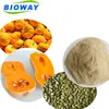 Factory supply 2018 best selling free Samples Pumpkin Seed Protein