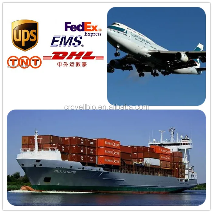 shipping