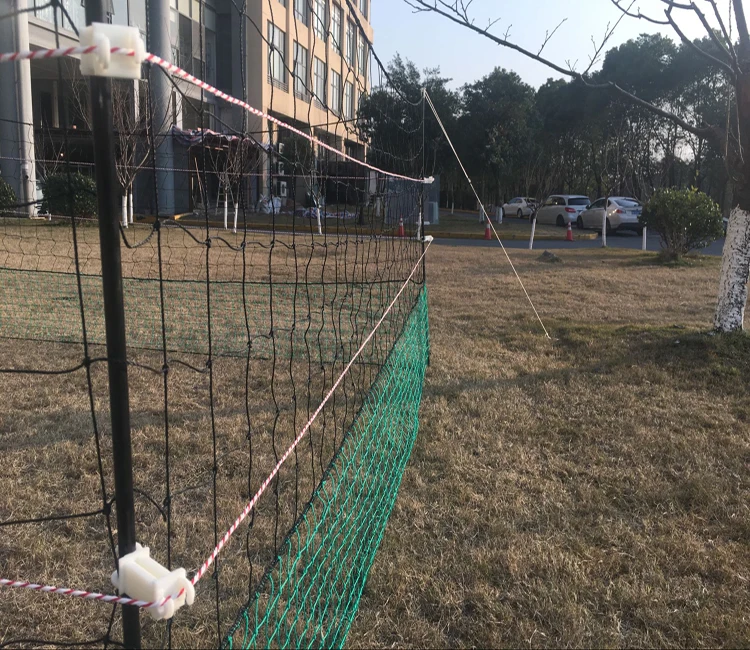 Can Electric Fences Kill You