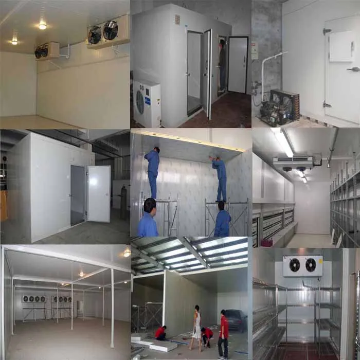 Cold room samples.jpg