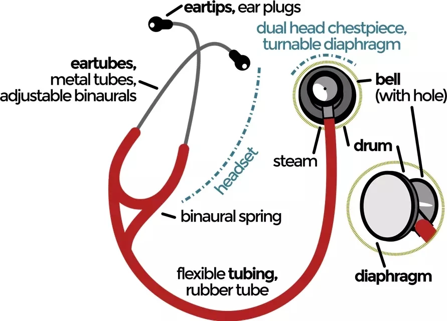 Dual Head Stethoscope