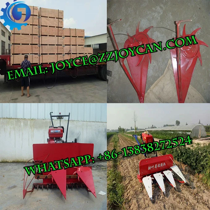 Cheap Price Reaper Binder Machine For Pepper Chives Sweet Stevia Leeks