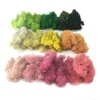 Wholesale Stabilized Preserved Lichen Reindeer Moss for Office decoration vertical garden