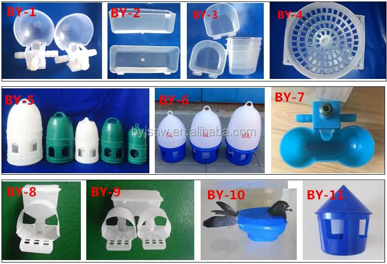 Pigeon Feeder Pigeons Birds Bird Feeder View Pigeon Bird Feeder