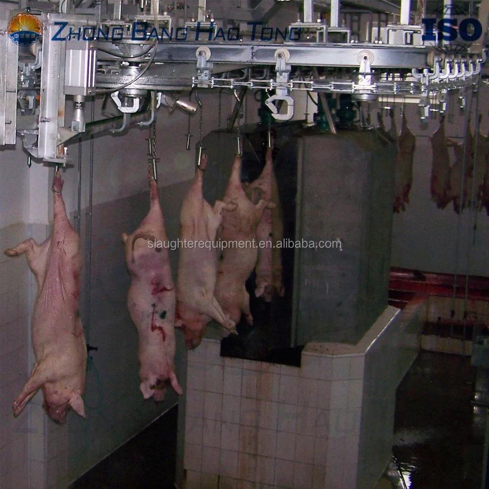 豚の食肉処理場の機械用の豚の洗濯機食肉処理場の機器とツール Buy 屠殺機械 屠殺機器とツール 豚虐殺機械 Product On Alibaba Com