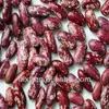 purple speckled Kidney beans/PSKB