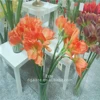 Factory direct sale china artificial flowers cheap wholesale single stem PU barbadoslily for home decor