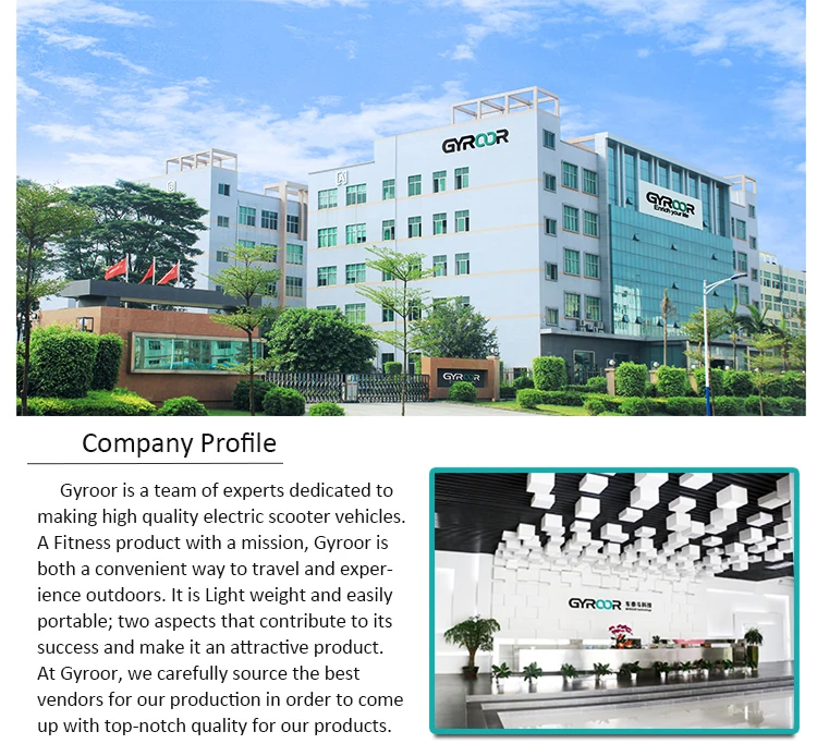 cheap electric scooter for adults