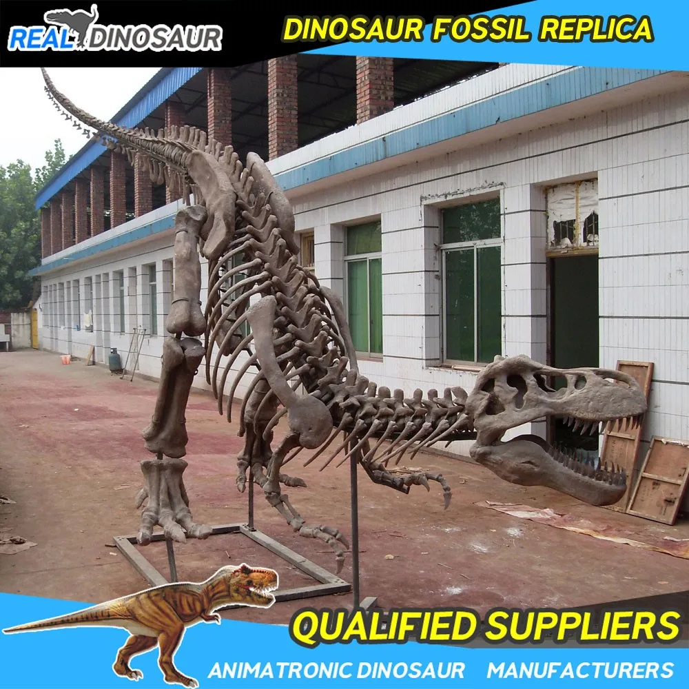 full t rex fossil