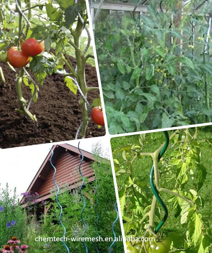 Galvanized Or Pvc Coated Plant Climbing Aid Spiral Support Metal Wire