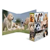 Low Price Custom 3 Inch A4 Lever Arch File