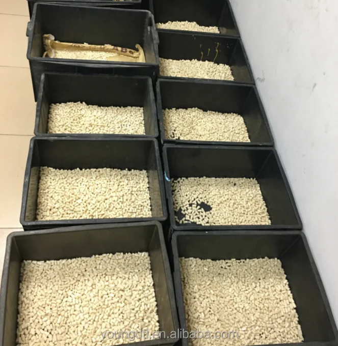 Diurnal 500 Model Teeth Practice Teeth And Replace Teeth Tooth Model