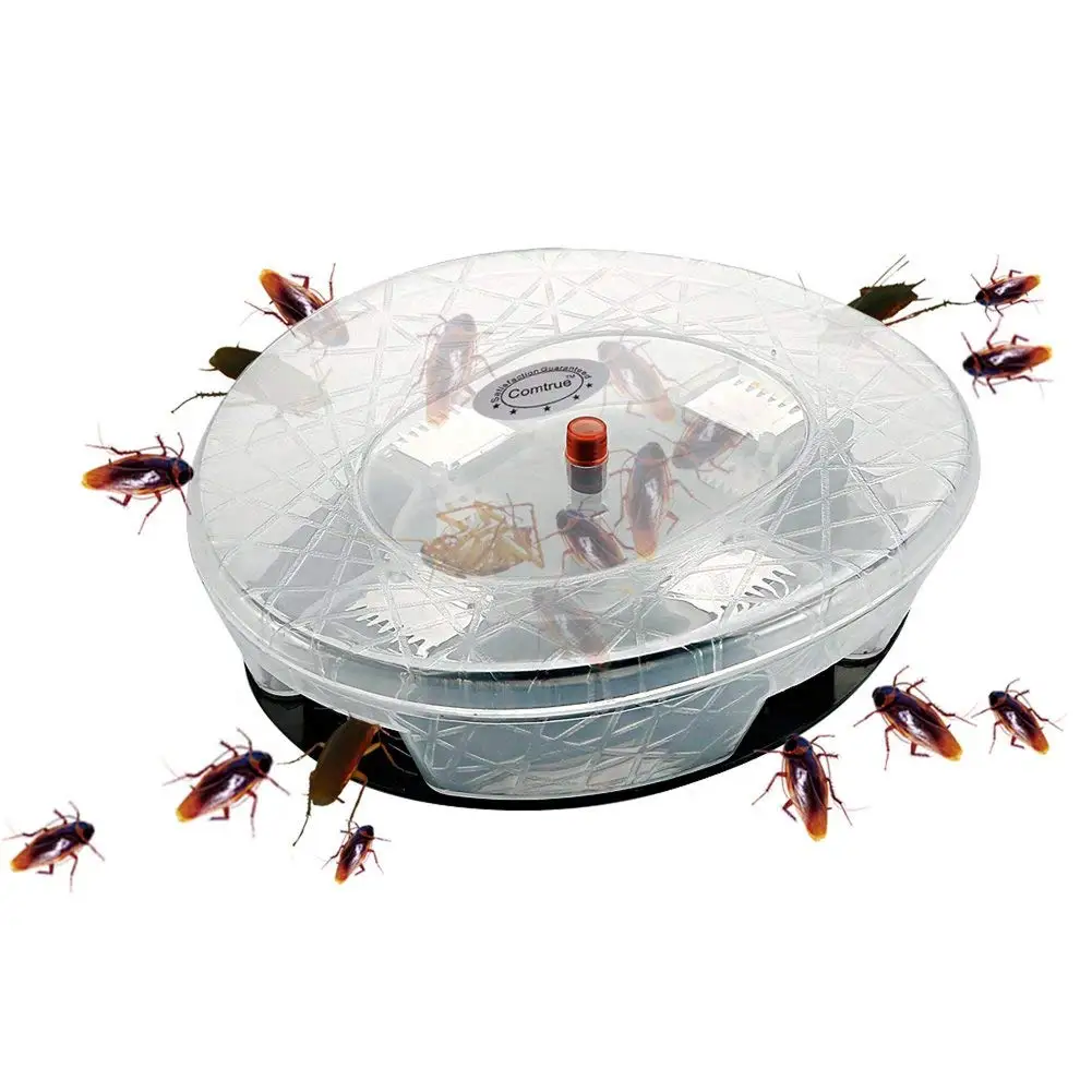 Cheap Roach Trap, find Roach Trap deals on line at