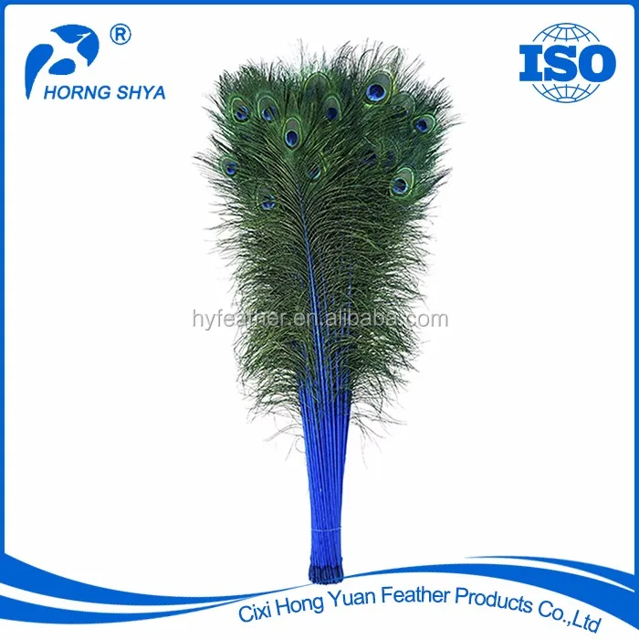 Best Quality Eco Friendly Environmentally 20 50 Inch Stem Dyed Feather   HTB1Z5QmNXXXXXaiXFXXq6xXFXXX4 