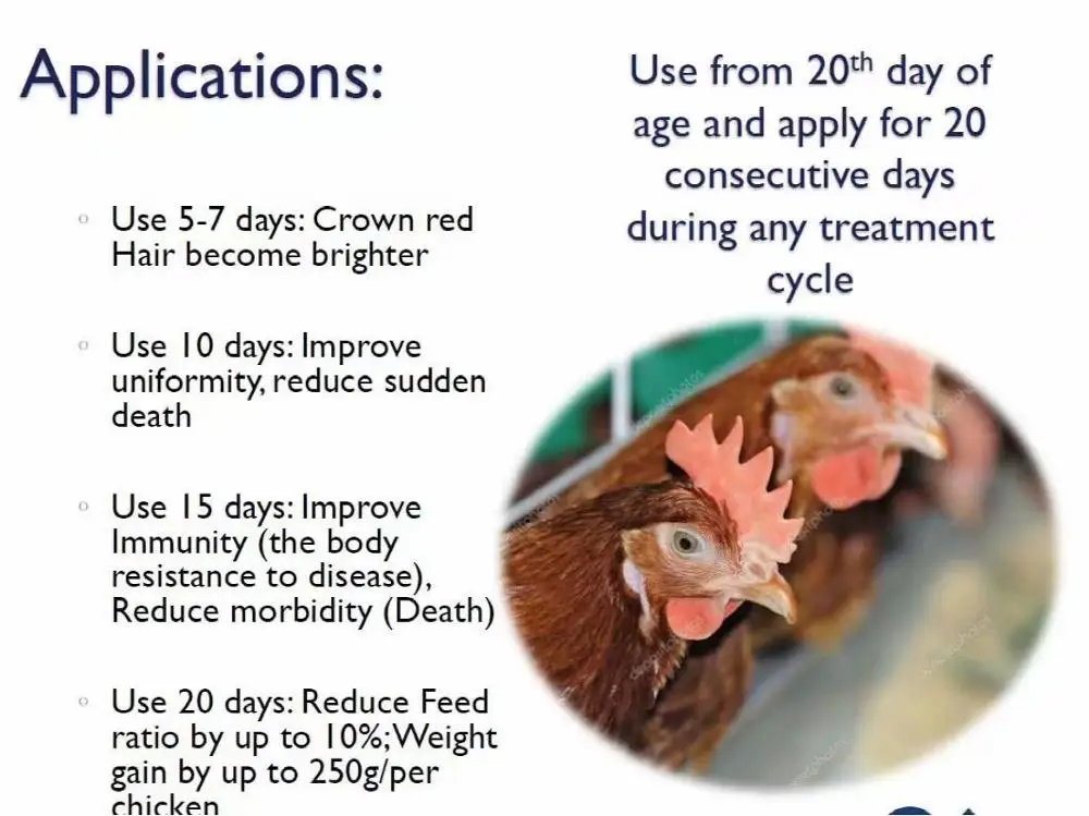 Broiler Growth Booster,Poultry Weight Gain Promoter Buy Poultry