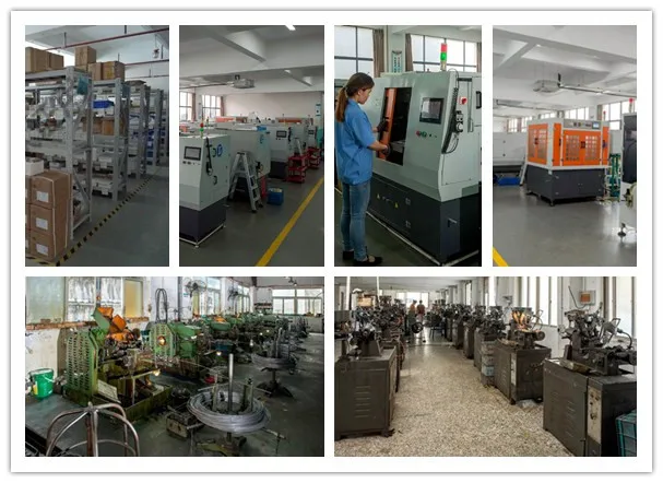 company information.jpg