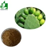 Supply 100% Natural Cactus Plant Extract 5:1, 10:1, 20:1 with Free sample