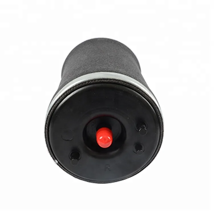 BMW E53 air spring.jpg