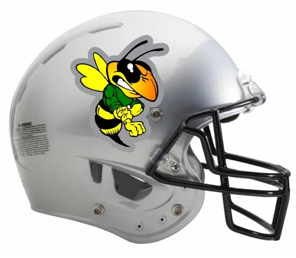 silver_football_helmet.jpg