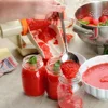 Touchhealthy supply double concentrated tomato paste