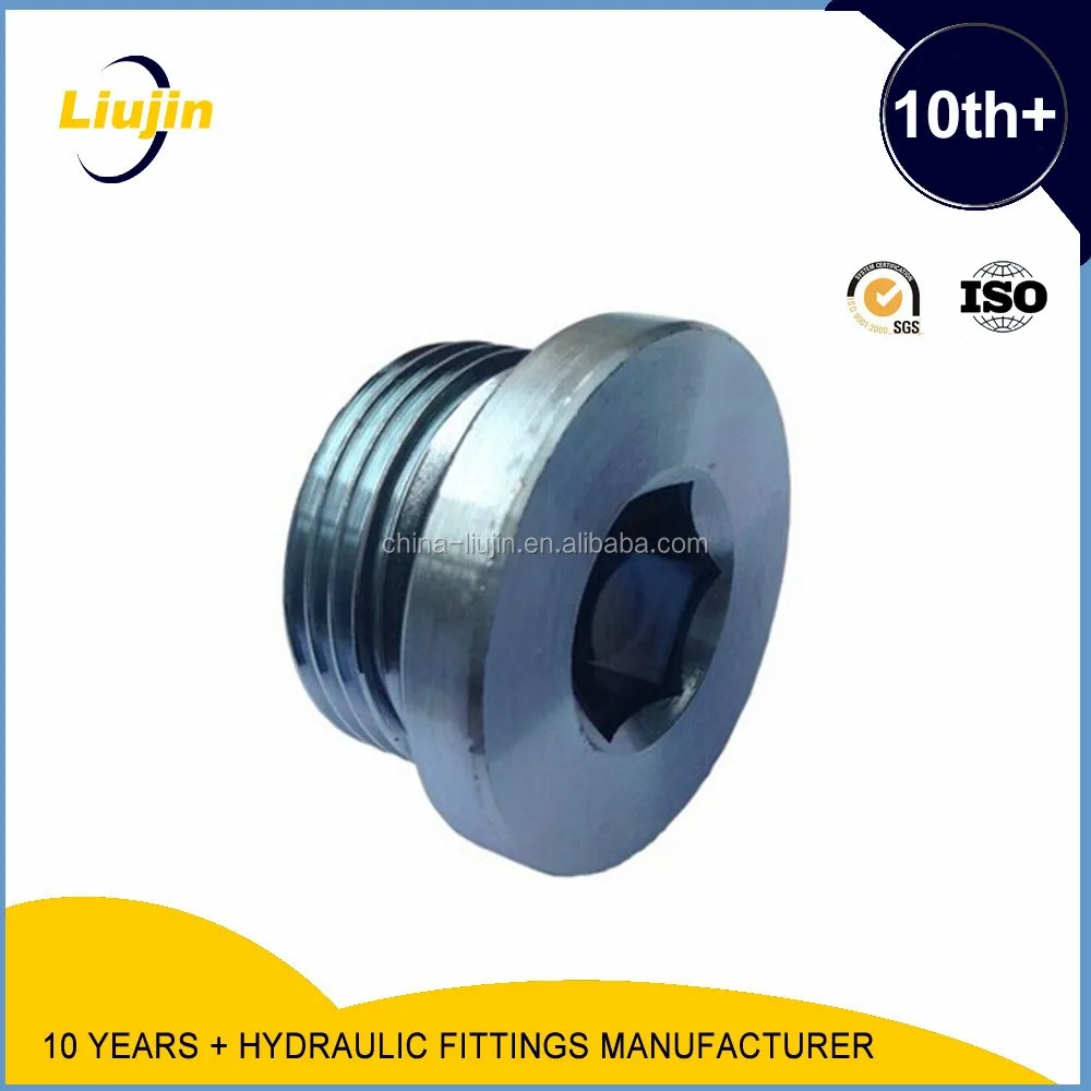 Bsp Male Captive Sealed Hollow Hex Plug (4BN-WD)