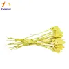 Yellow plastic security seal lock with Serial number