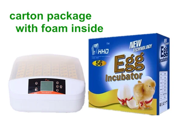 Water bottle egg incubator