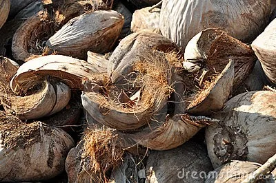 crusher sawdust husk coconut recycling waste machine making