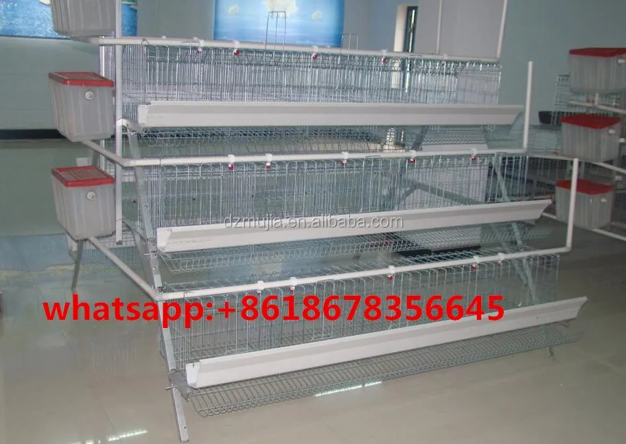 Agriculturalequipment Layer Quail Cages For South Africa Bird Cage For
