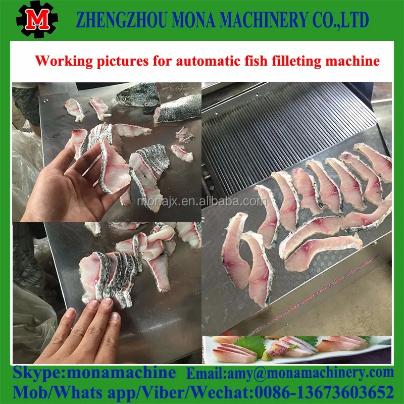 Good Performance And Professional Fish Processing Equipment For Sale