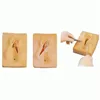 Factory Outlet Obstetrics Training Vagina Suture Model