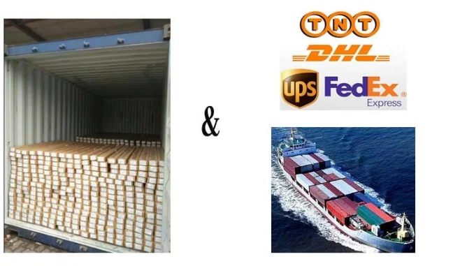 paste-pic-dp_uuid_c9bui