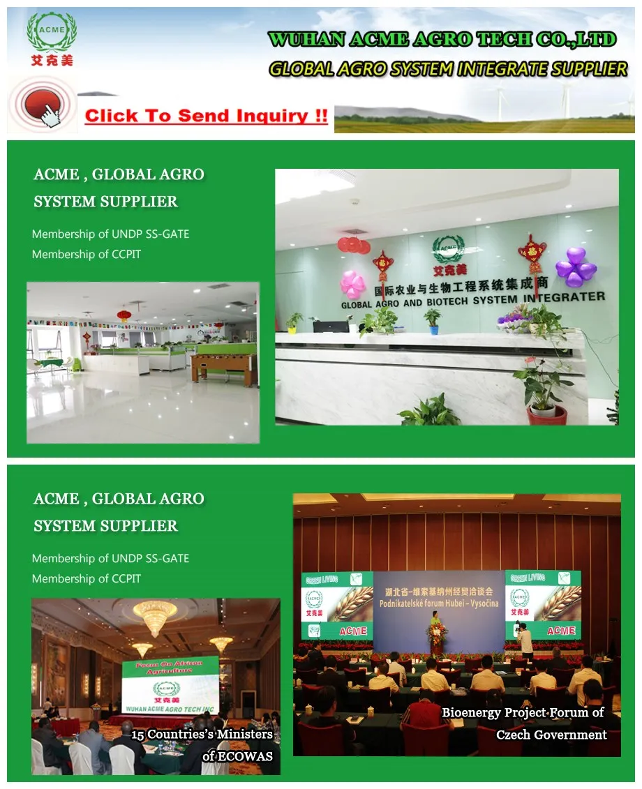 company overview 5
